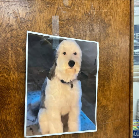 Ship a Pic! (FREE U.S. MAILING)