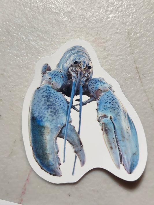 7 Blue Lobster Stickers (FREE US MAILING)